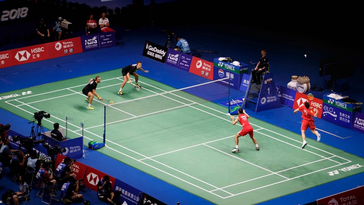 不仅可以提 不仅可以提